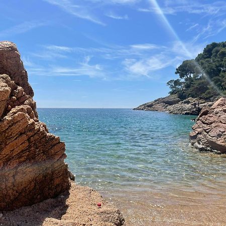 T5 - Cozy Retreat 50M To Beach Garden Escape Tamariu Esterno foto